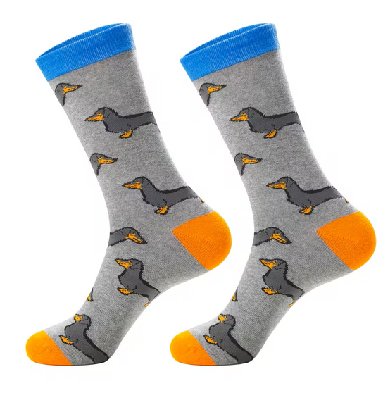 Dapper Dachshund Socks, Men's Dapper Dachshund Socks, Men's Dachshund Socks, Men's Sausage Dog Socks, Dachshund Socks, Sausage Dog Socks, Wiener Dog Socks, Dog Lover Socks, Dog Socks, Dachshund Print Socks, Dog Print Socks, Dachshund Gift, Gift for Dog Lovers, Pet Lover Socks, Novelty Socks, Men's Novelty Socks, Funny Dog Socks, Cute Dog Socks, Men's Crew Socks, Casual Crew Socks, Animal Print Socks, Fun Socks for Men, Colourful Socks, Dachshund Lover Gift, Men's Fashion Socks, Men's Socks NZ, Novelty Socks NZ, Dog Lover Gift NZ, Fun Socks New Zealand, Men's Casual Socks, Sock Boutique NZ, Animal Lover Socks