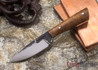 Lon Humphrey Knives: Custom Whitetail - Curly Koa - 9532
