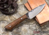 Lon Humphrey Knives: Custom Whitetail - Curly Koa - 9538