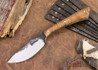 Lon Humphrey Knives: Custom Muley - Forged 52100 - Curly Koa #220