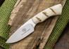 Arno Bernard Knives: Bush Baby Series - Gecko - Sheep Horn - 121012