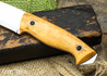 Helle Knives: Utvaer - Curly Birch 16