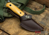 Helle Mandra - Les Stroud Design - 2.7" Compact Survival Knife - Curly Birch 14