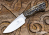 Arno Bernard Knives:Bush Baby Series - Gecko - Kudu Bone - AB21EG001