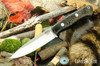 Bark River Knives: Aurora - CPM 3V - Black Pinecone