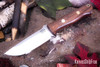 Bark River Knives: Bravo 1 - CPM CruWear - American Walnut - Cherry Red Liners - Brass Pins #2