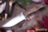 Bark River Knives: Bravo 1 - CPM CruWear - Bog Oak - Hollow Pins - Swedge - Full Height Grind