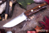 Bark River Knives: Bravo 1 - CPM CruWear - Desert Ironwood - Brass Pins #2