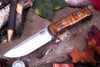 Bark River Knives: Bravo 1 - CPM CruWear - Rampless - Dark Curly Maple - Red Liners - Mosaic Pins #1