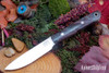 Bark River Knives: Little Creek II - CPM MagnaCut - Black & Dark Purple Tigertail Maple Burl