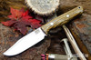 Bark River Knives: Gunny Sidekick - CPM MagnaCut - Bocote #9