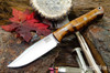 Bark River Knives: Gunny Sidekick - CPM MagnaCut - Dark Curly Maple - Red Liners - Mosaic Pins #1