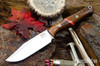 Bark River Knives: Gunny Sidekick - CPM MagnaCut - Dark Curly Maple - Dino Bone Spacer - Red Liners - Mosaic Pins