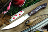 Bark River Knives: Kalahari Mini-Sportsman - CPM 154 - Purple Tigertail Maple Maple Burl