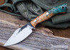 Lon Humphrey Knives: Blacktail - Forged 52100 - Box Elder Burl - Orange Liners - LH22CJ114