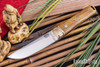 Bark River Knives: Kitsune Tanto - CPM 154 - Brass Bolster - Osage Orange - Green Liners #1