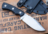 American Tomahawk: Scout