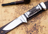 Alan Warren Custom Knives: #2599 Stag Hunter - Red Stag -  Ironwood Burl, Fossil Walrus Ivory, Nickel Silver & 410 Accents - CPM 154