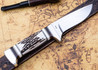 Alan Warren Custom Knives: #2599 Stag Hunter - Red Stag -  Ironwood Burl, Fossil Walrus Ivory, Nickel Silver & 410 Accents - CPM 154