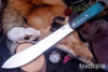 Bark River Knives: Mountain Man 8" - CPM 3V - Black & Teal Tigertail Maple Burl