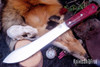 Bark River Knives: Mountain Man 8" - CPM 3V - Red Tigertail Maple Burl