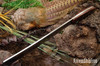 Bark River Knives: Golok II - Eucalyptus Burl - Black Liners - Mosaic Pins #2