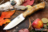 Bark River Knives: Featherweight Fox River - CPM 3V - Tan & Salmon Maple Burl - Mosaic Pins