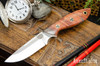 Bark River Knives: Adventurer - CPM 3V - Rust & Gray Tigertail Maple Burl - Mosaic Pins