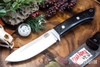 Bark River Knives: Classic Semi Skinner - MagnaCut - Black G-10 - Purple Liner