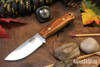 Bark River Knives: Micro Bravo CPM-154 - Snakebean Wood - Toxic Liner - Brass Pins