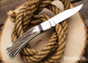 Buck Knives: 110 Folding Hunter - Wilde Bill Cody Grizzly Bear Limited Edition - Elk Antler & Bloody Jasper - 420HC - Custom Filework