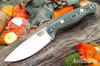 Bark River Knives: North Country EDC - CPM 154 - Black & Green Linen Micarta