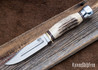 Bark River Knives: Gladstone Hunter - CPM-154 - Sambar Stag #30