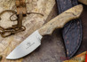 Arno Bernard Knives: Predator Series - Great White - Spalted Maple Handle