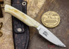 Arno Bernard Knives: 20th Anniversary - Bush Baby - Warthog Ivory