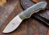 Arno Bernard Knives: Scavenger Series - Raven - Mammoth Ivory Handle