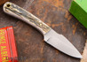 L.T. Wright Knives: Great Plainsman - Stag - Saber Ground - D2 Steel - #10