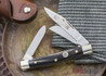 Shield Scale - Individually Photographed
