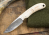Arno Bernard Knives: 2015 Featured Knife Series - Warthog Ivory - 110402
