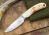 Arno Bernard Knives: 2015 Featured Knife Series - Warthog Ivory - 110411