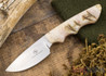 Arno Bernard Knives: Predator Series - Great White - Sheep Horn - 112321