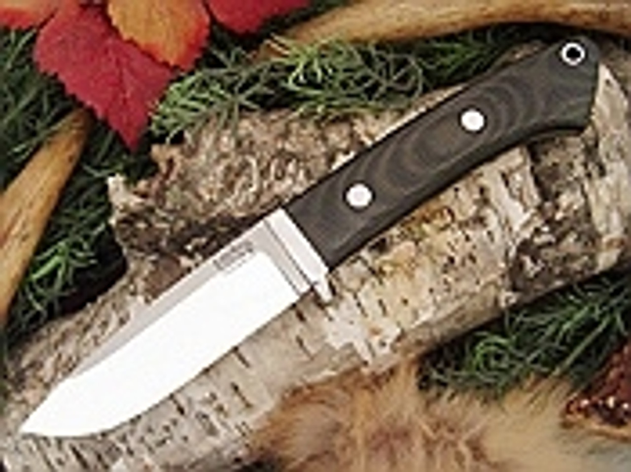 Buy Bark River Knives - Classic Drop Point Hunter - Ships Free