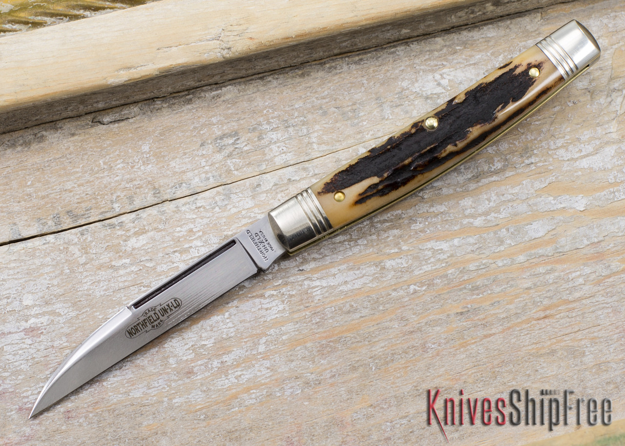 gec-13-stag-front-7__48979.