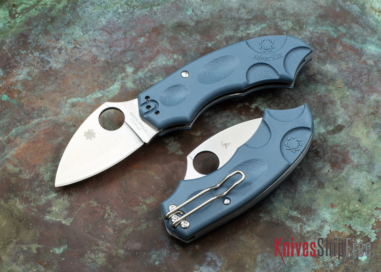 Spyderco: Meerkat Sprint Run - Blue FRN - V-Toku 2 - C64PBLE