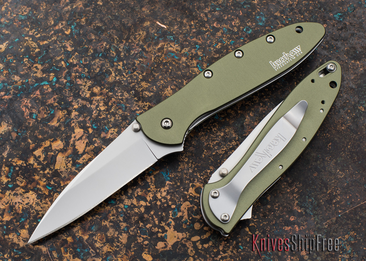 Kershaw Knives Leek Blackwash Finish Assisted Opening 1660BLKW