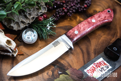 Bark River Knives: Classic Semi Skinner - MagnaCut - Salmon Maple Burl - Toxic Liner