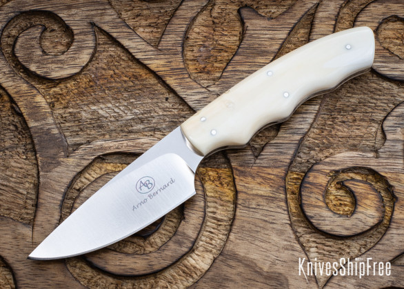 Arno Bernard Knives: Bush Baby Series - Squirrel - Warthog Tusk - AB21EG058