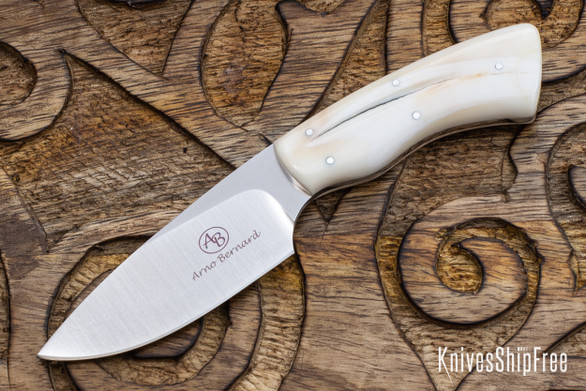 Arno Bernard Knives:Bush Baby Series - Gecko - Warthog Tusk - AB21EG017