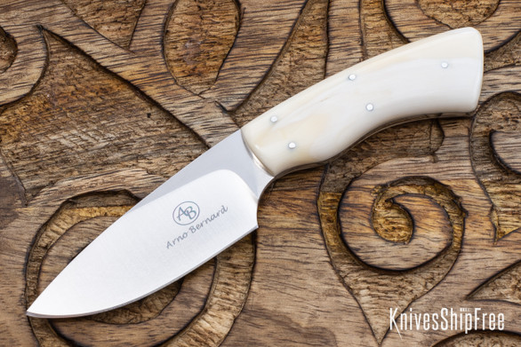 Arno Bernard Knives:Bush Baby Series - Gecko - Warthog Tusk - AB21EG022