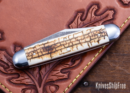 Mammoth Ivory - NW28CL020 (Back)